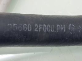 KIA Sorento Gearbox oil cooler pipe/hose 256602F000