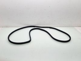 KIA Sorento Rear door rubber seal (on body) S