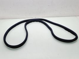 Renault Megane III Rear door rubber seal (on body) 