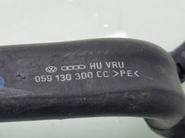 Volkswagen Touareg I Degvielas caurulīte (-es) 059130300CC