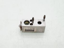 Citroen Berlingo Air conditioning (A/C) expansion valve A311010E0A