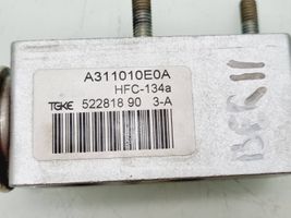 Citroen Berlingo Air conditioning (A/C) expansion valve A311010E0A