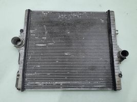 Toyota Land Cruiser (J150) Radiatore intercooler 11050