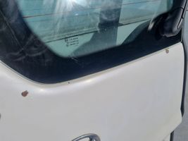 Toyota Proace Drzwi tylne do samochodów dostawczych 