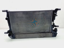 Renault Scenic III -  Grand scenic III Radiator set 214105150R