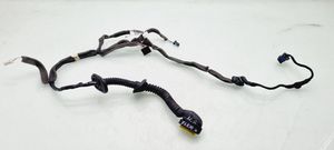 Renault Scenic III -  Grand scenic III Rear door wiring loom 241275076R