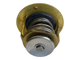 Rover 600 Thermostat GTS283