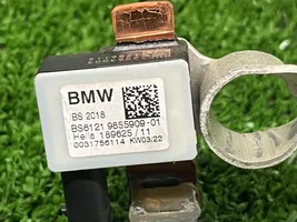 BMW 3 G20 G21 Minus / Klema / Przewód akumulatora 61219855909