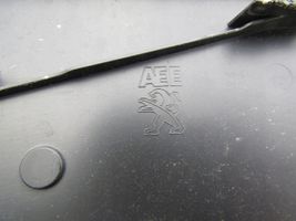 Peugeot 508 Kennzeichenhalterung 
