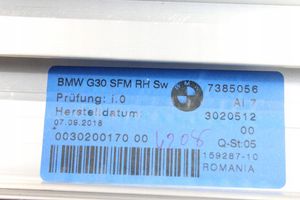 BMW 5 G30 G31 Tendina/parasole del finestrino della portiera posteriore 