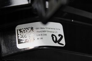 BMW X3 G01 Rejilla superior del radiador del parachoques delantero 