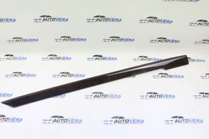 BMW 5 E39 Rear door card trim 