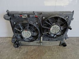 Ford Galaxy Set del radiatore 