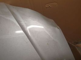 Hyundai Elantra Engine bonnet/hood 