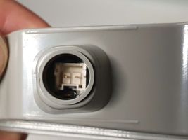 Hyundai Sonata Mirror indicator light 