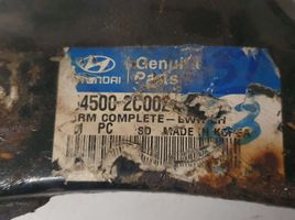 Hyundai Coupe Fourchette, bras de suspension inférieur avant 545002C002