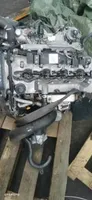 Ford Ranger Silnik / Komplet WLAE
