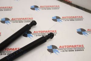 BMW 1 E81 E87 Ammortizzatore portellone anteriore/cofano 7118370