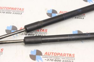 BMW 1 E82 E88 Ammortizzatore portellone anteriore/cofano 7166758