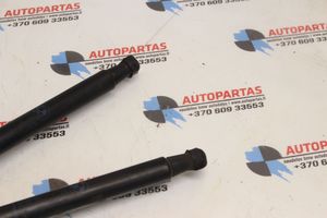 BMW 1 E82 E88 Ammortizzatore portellone anteriore/cofano 7166758