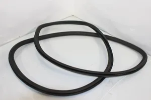 BMW 7 F01 F02 F03 F04 Rear door rubber seal (on body) 7179131