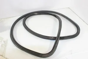 BMW 7 F01 F02 F03 F04 Front door rubber seal 7177999