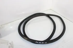 BMW 7 F01 F02 F03 F04 Front door rubber seal 7177999