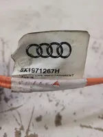 Audi A1 Inna wiązka przewodów / kabli 8X1971267H