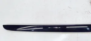 Audi A3 S3 8P Front door trim bar 8P3867409A