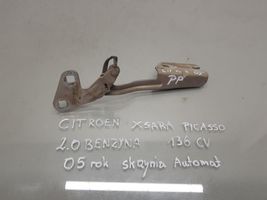 Citroen Xsara Picasso Cerniere del vano motore/cofano 