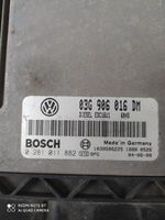 Volkswagen Caddy Moottorin ohjainlaite/moduuli 03G906016DM