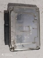 Volkswagen Bora Sterownik / Moduł ECU 038906019FG