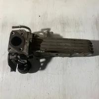 Volkswagen Golf Plus EGR dzesētājs 038131513AD