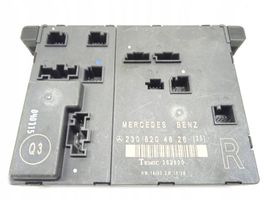 Mercedes-Benz SL R230 Inne komputery / moduły / sterowniki 2308204826