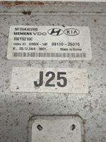 Hyundai Sonata Sterownik / Moduł ECU 5WY5210C 39110-25070