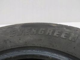 Volkswagen PASSAT B5 Pneumatici estivi R15 EVERGREEN