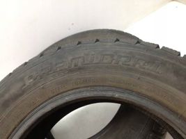 Fiat Punto (188) R14 winter tire PREMIORRI