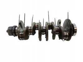 Volkswagen PASSAT B8 Crankshaft 2.0