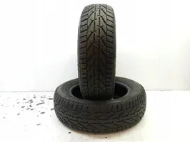 Volkswagen PASSAT B5 R15 winter tire 