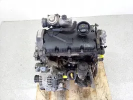 Skoda Octavia Mk2 (1Z) Motore BJB
