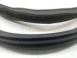 Citroen C3 Rubber seal front door (on door) 9813059680