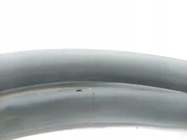 Citroen C3 Priekinė sandarinimo guma (ant durų) 9813059680