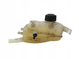 Renault Megane III Coolant expansion tank/reservoir 217100005R