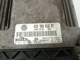 Volkswagen Touran I Sterownik / Moduł ECU 03G906016BT