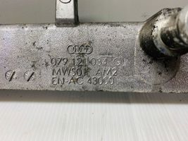 Audi RS4 Variklio aušinimo vamzdelis (-ai)/ žarna (-os) 079121034G