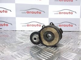 Opel Vectra C Tendicinghia generatore/alternatore 55190813