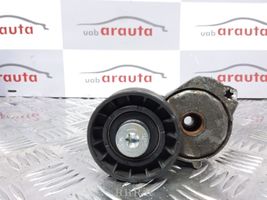 Volvo S80 Napinacz paska alternatora F563069