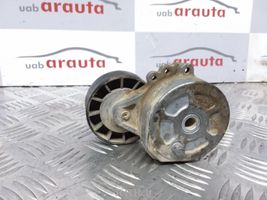 Peugeot Boxer Napinacz paska alternatora 