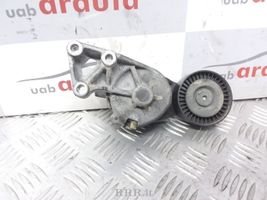 Seat Alhambra (Mk1) Tendicinghia generatore/alternatore 950372