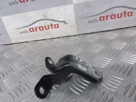 Hyundai ix35 Cerniera superiore della portiera anteriore A046057